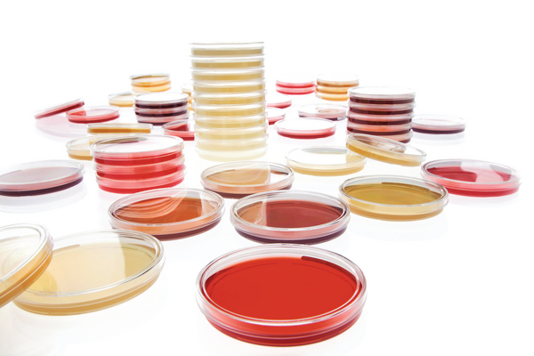 R3A Agar - LI 30ml 0173E-20P